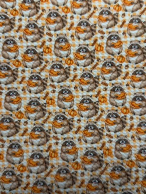 Pumpkin Pie Racoon